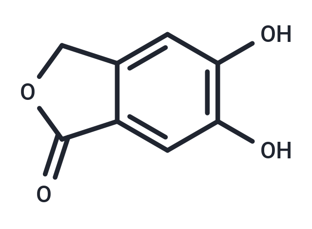 5,6-dihydroxy-1,3-dihydro-2-benzofuran-1-one