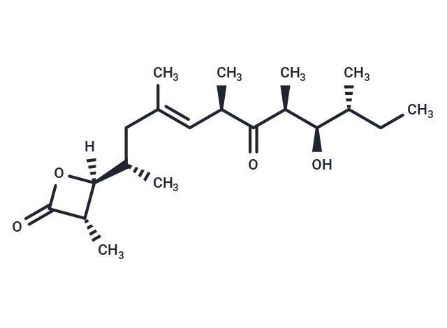 Ebelactone A