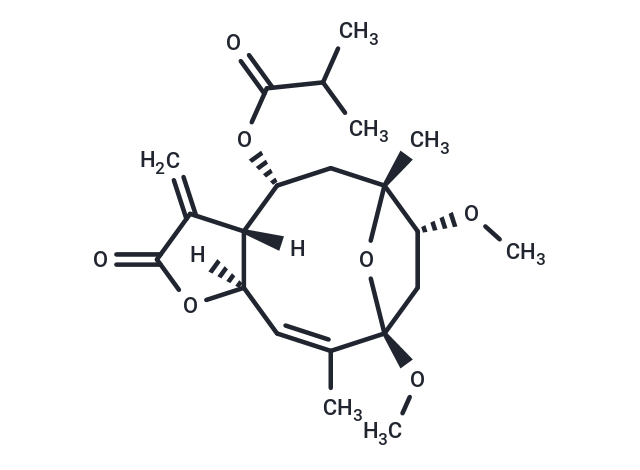 1β-Methoxydiversifolin 3-O-methyl ether