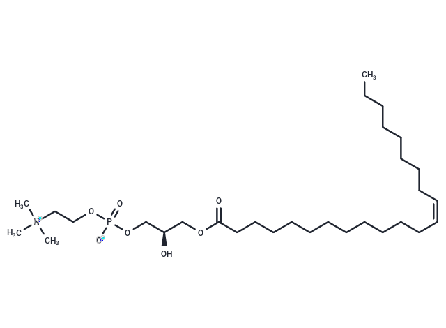 1-erucoyl-sn-glycero-3-phosphocholine