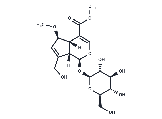 6-O-Methylscandoside methyl ester