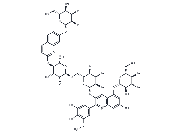 etunidin 3-Rutinoside(Cis-p-coumarin)glucoside-5-glucoside
