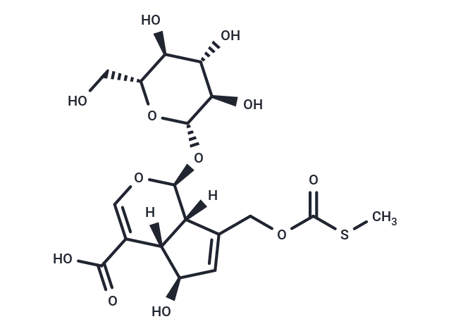 6-epi-Paederosidic acid