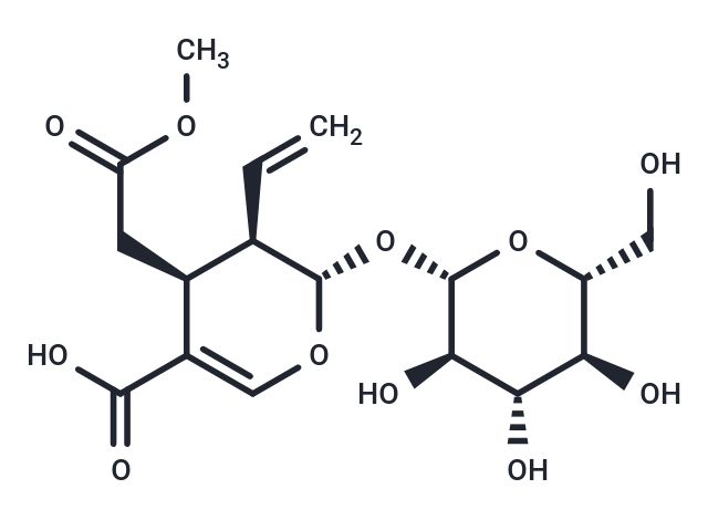 Secologanoside 7-Methyl Ester
