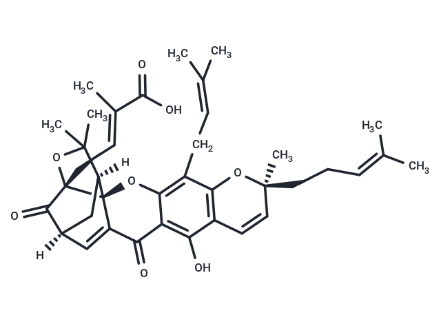 Isogambogic acid(C2-S)