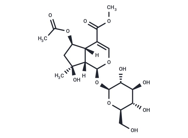 6-O-acetyl shanzhiside methyl ester
