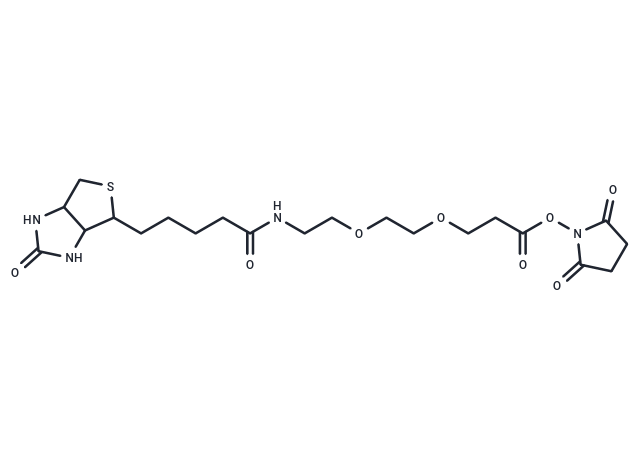 Biotin-PEG2-NHS ester