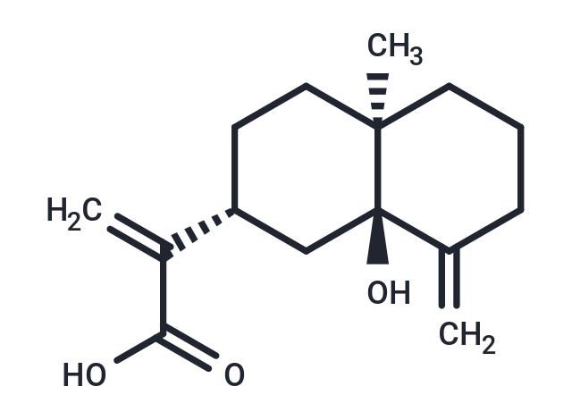 5α-Hydroxycostic acid