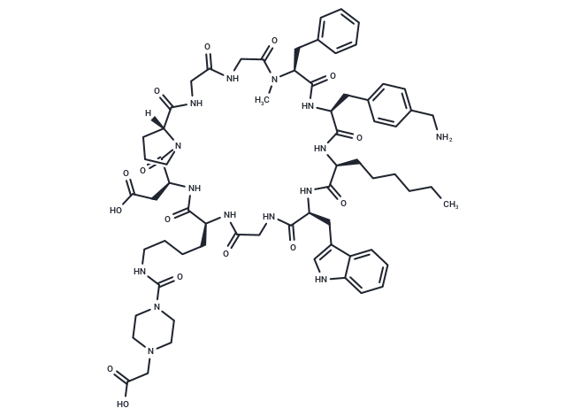 FAP targeting peptide for FXX489
