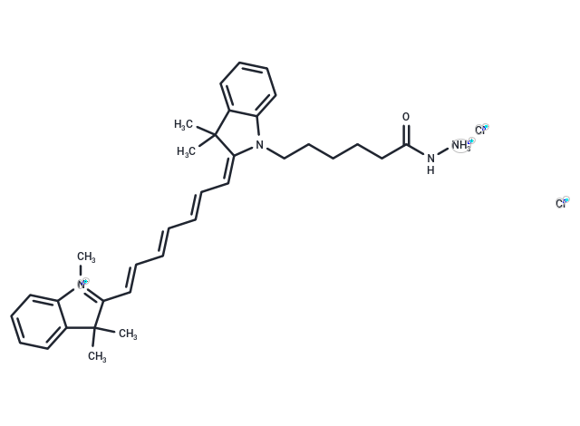 Cy7 hydrazide