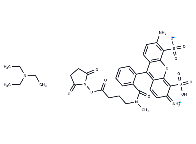 ATTO 488 NHS ester TEA