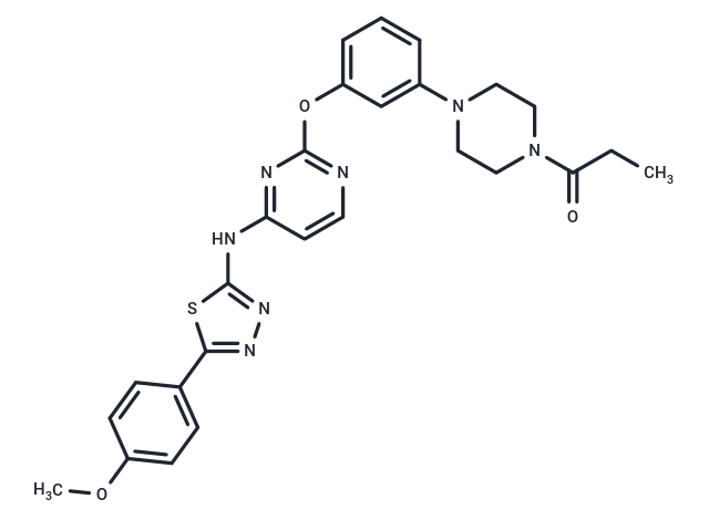 EGFR T790M/L858R-IN-9