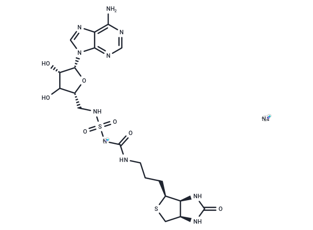 Biotin protein ligase-IN-1
