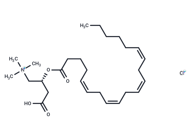 Arachidonoyl-L-carnitine chloride