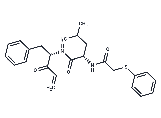 SARS-CoV-2 Mpro-IN-37