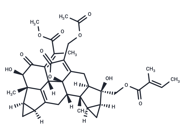 Chlorahololide D