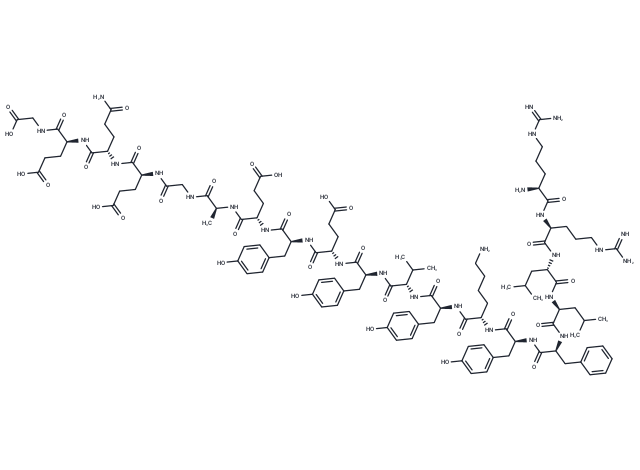 Na2+ - Ca2+ Exchanger inhibitory peptide