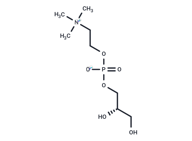 Glycerophosphocholine