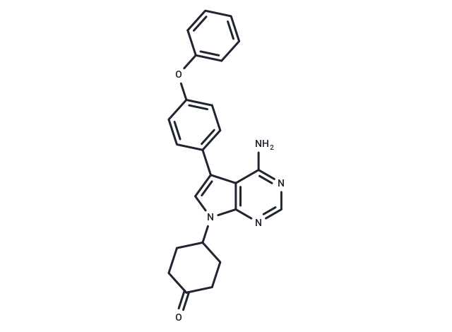 Protein kinase inhibitor 9