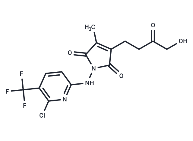 XPO1-ligand-1