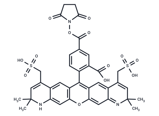 BP Fluor 568 NHS ester