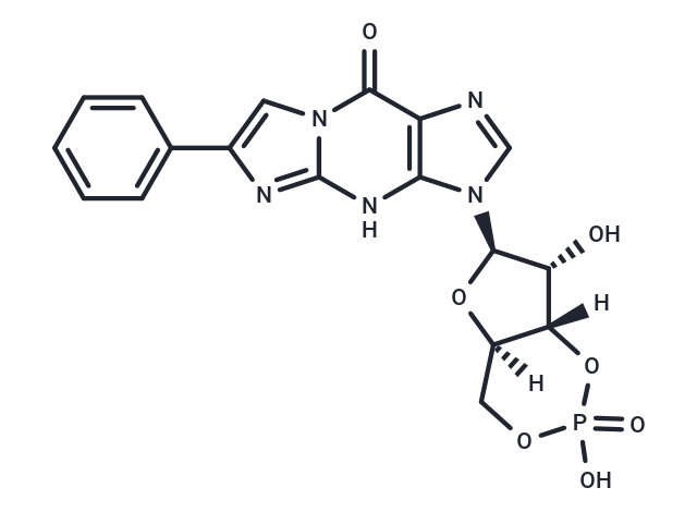 PET-cGMP