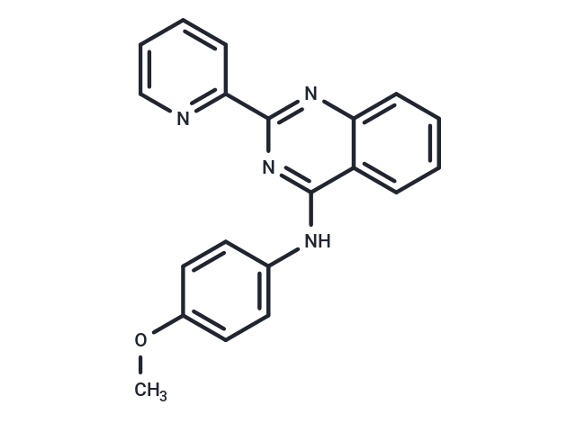 Group II intron-IN-1