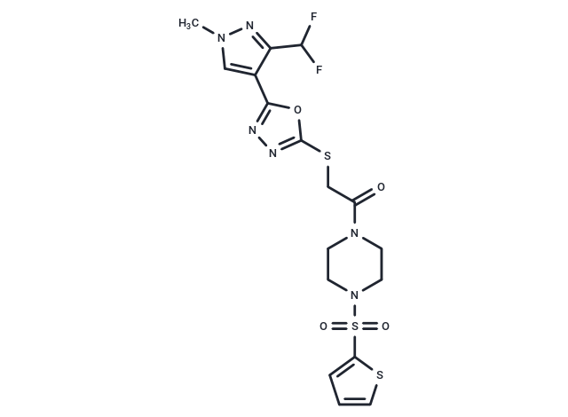Antibacterial agent 262