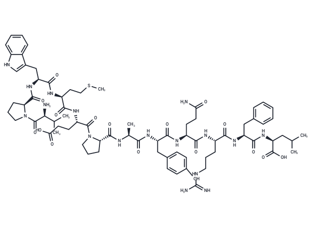 P160 peptide
