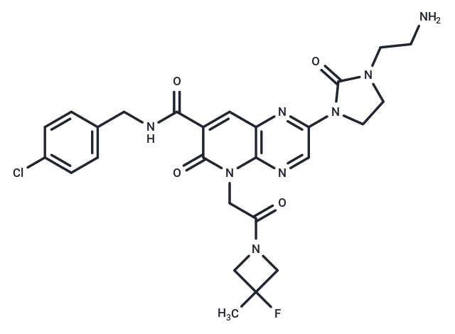 DNA polymerase-IN-6