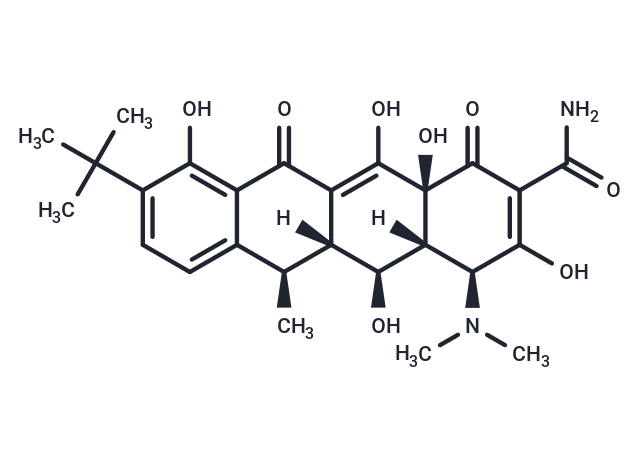 9-tert-Butyldoxycycline