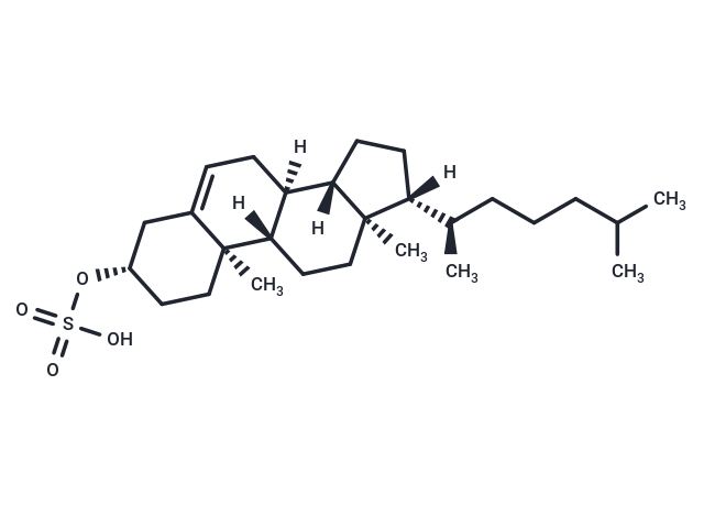Cholesterol sulfate