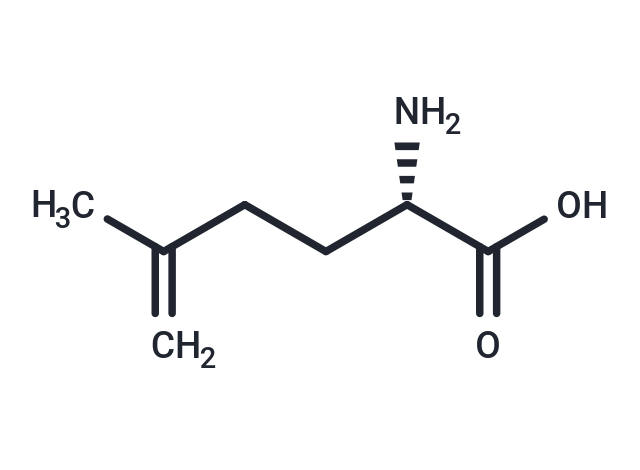 2-Amino-5-methyl-5-hexenoic acid