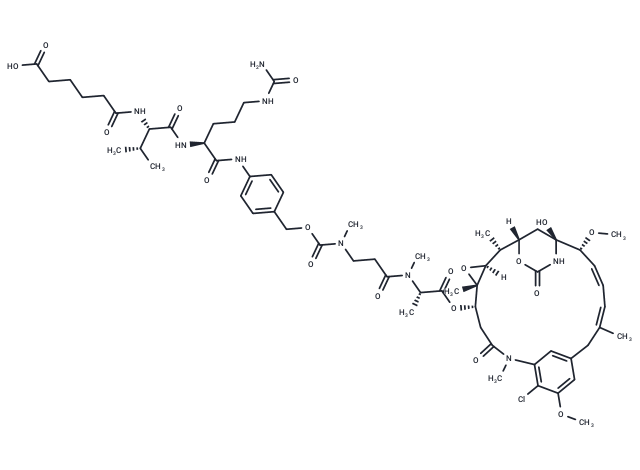 Maytansine derivative M24
