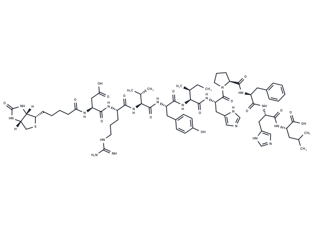 Biotinyl-Angiotensin I