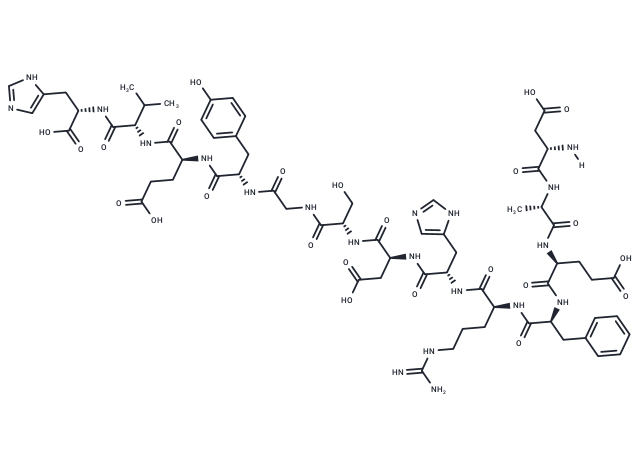 β-Amyloid (1-13)
