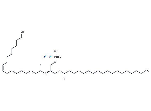 18:0-18:1 PA sodium