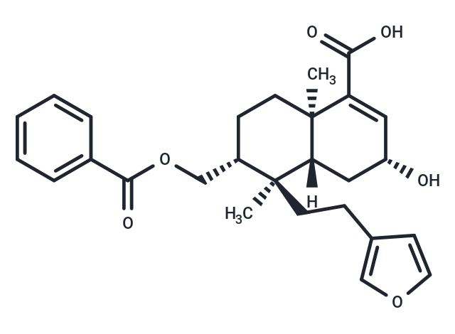 Polyandric acid A