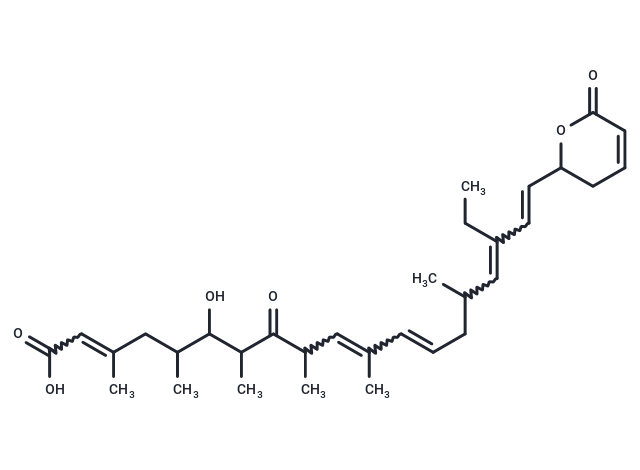 Anguinomycin B