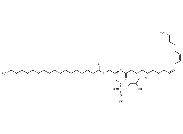 18:0-18:2 PG sodium