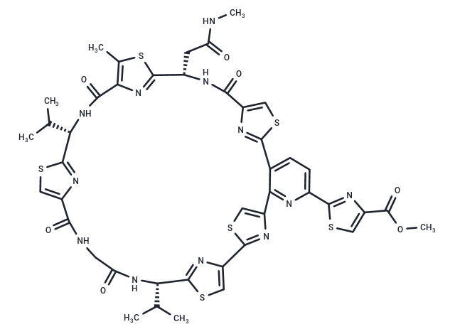 Amythiamicin D