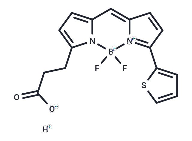 BODIPY558/568 carboxylic acid