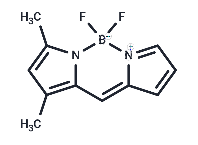 1,3-Dimethyl-BODIPY