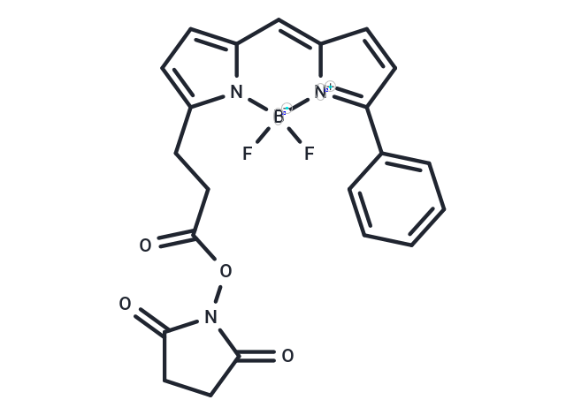 BODIPY R6G NHS ester