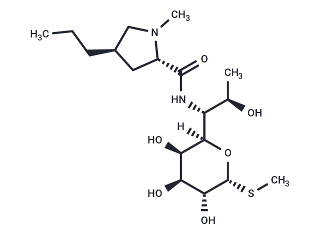 Lincomycin