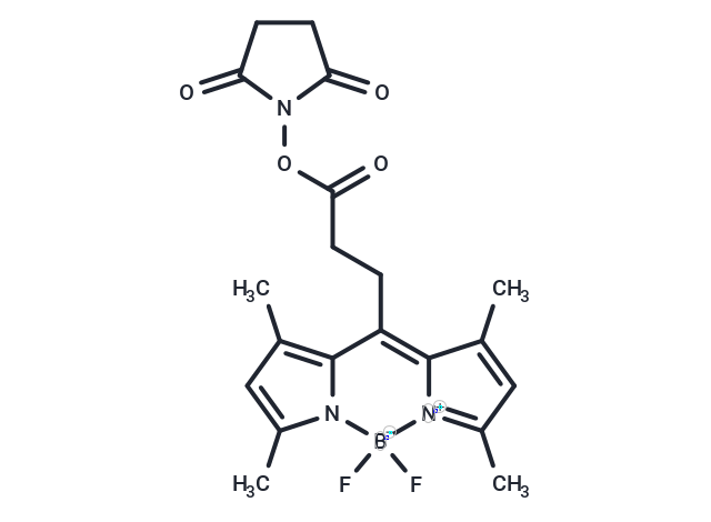 BODIPY 493/503 NHS ester
