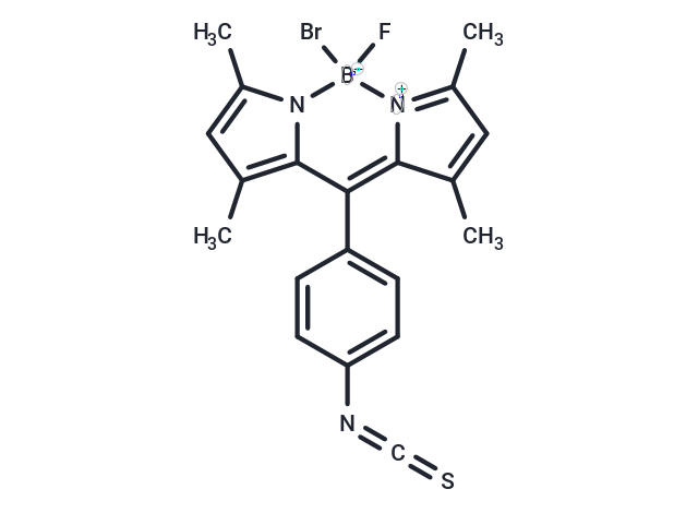BODIPY Isothiocyanate