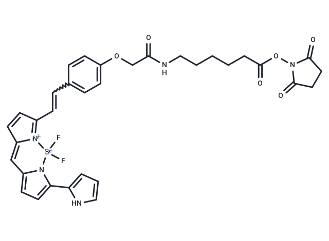 BDY 650-X,SE, BODIPY 650/665 X NHS ester