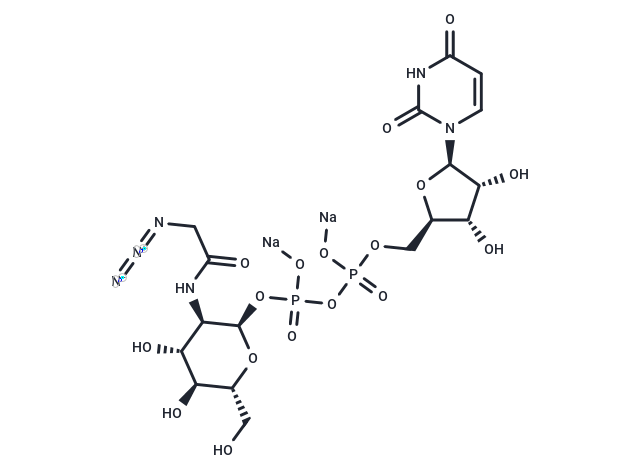 UDP-GlcNAz disodium