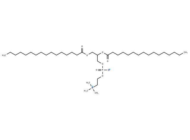 DL-Dipalmitoylphosphatidylcholine